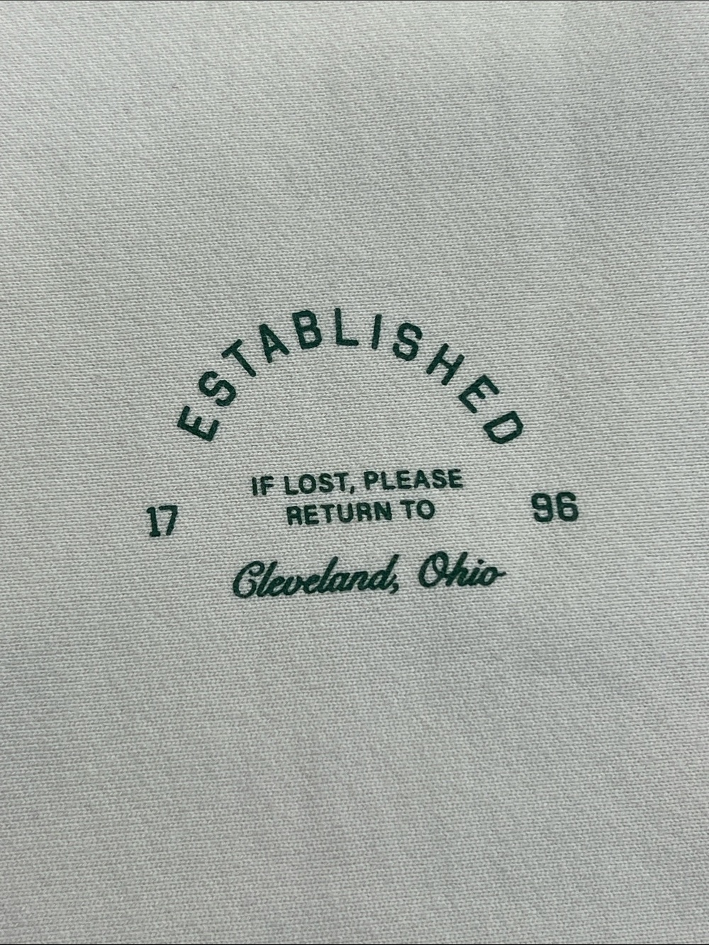 Emily Roggenburk return to cleveland puff crewneck long sleeve sweatshirt green - Picture 3 of 11